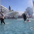 IMG_1452261