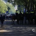IMG_1452287