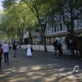 IMG_1452288