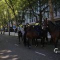 IMG_1452291