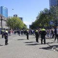IMG_1452305