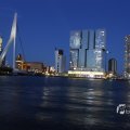 IMG_1452854