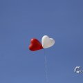 IMG_1453154