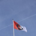 IMG_1453282