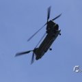 IMG_1453304