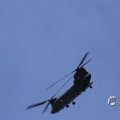IMG_1453306