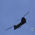 IMG_1453307