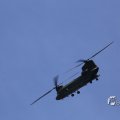 IMG_1453308