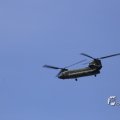 IMG_1453309