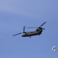 IMG_1453311