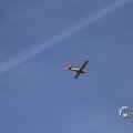 IMG_1453315