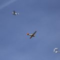 IMG_1453317