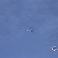 IMG_1453320