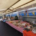 IMG_1456705