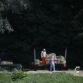 IMG_1456819