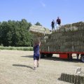 IMG_1456886