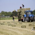 IMG_1456906