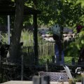 IMG_1456952