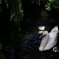 IMG_1457002