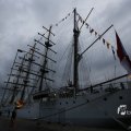 IMG_1465811