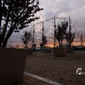 IMG_1465854