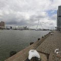 IMG_1466011