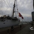 IMG_1466113