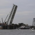 IMG_1466145