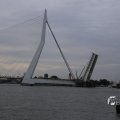 IMG_1466149