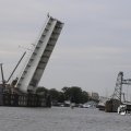 IMG_1466156