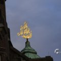 IMG_1466176