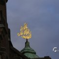 IMG_1466177