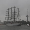 IMG_1466216