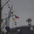 IMG_1466239