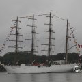 IMG_1466298