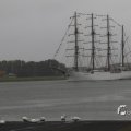 IMG_1466302