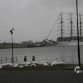 IMG_1466308