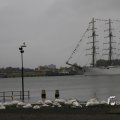IMG_1466310