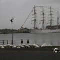 IMG_1466312