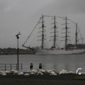 IMG_1466313