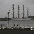 IMG_1466318