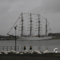 IMG_1466319