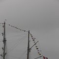 IMG_1466336