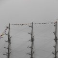 IMG_1466338