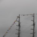 IMG_1466339
