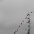 IMG_1466340