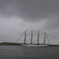 IMG_1466376