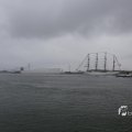 IMG_1466381
