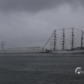 IMG_1466386