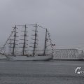 IMG_1466391